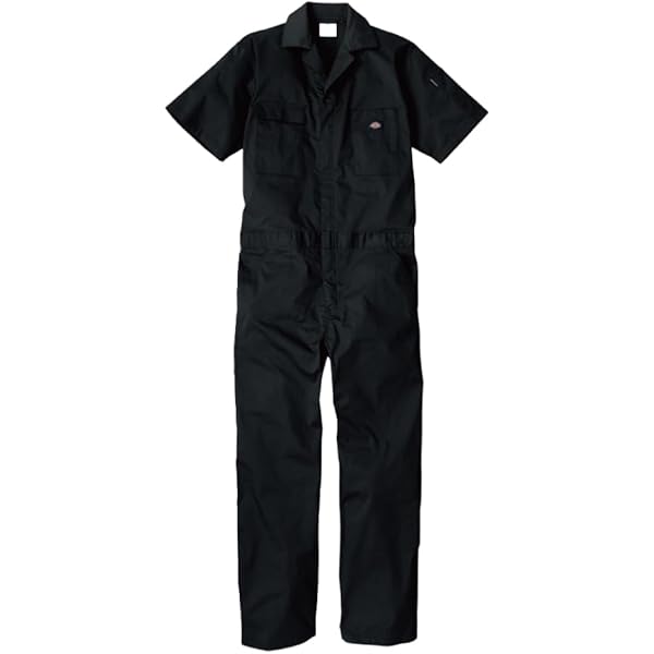 Amazon.co.jp: 2XL(2XL R) BLACK DICKIES ディッキーズ 3399 半袖
