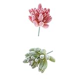 Homyl 3タイプ選べる　現実的　美しさ　人工多肉植物　エケベリア　 - ピンクとグリーン