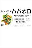 フタバ種苗 トウガラシ ハバネロ(オレンジ) 種・小袋詰(1ml)