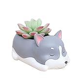 かわいい犬の形の家の装飾 たにくしょくぶつの花瓶の花のポットサボテンの植物のポットのデスクトップフラワーポットミニ盆栽のポット (シベリアンハスキー)