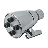 Danco 9D00089202 4-Jet Showerhead, Chrome by Danco