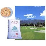 芝の種（業務用）：ノシバKST2(ケーエスティーツー） 500g ノーブランド品