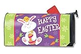 MailWraps Bunny and Chick Mailbox Cover #01082 [並行輸入品]