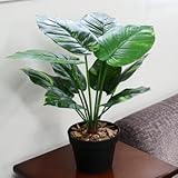 Funderful 人工観葉植物 ポトス 50cm