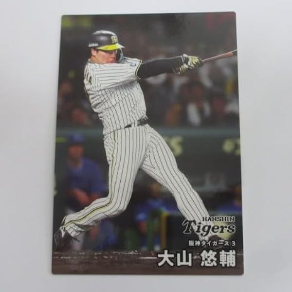 プロ野球チップス カード 阪神タイガース　コンプリート Callbee プロ野球チップスカード図鑑 阪神タイガース |本 | 通販 | Amazon