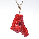 土佐沖血赤珊瑚 枝 ルース サンゴ ペンダント
