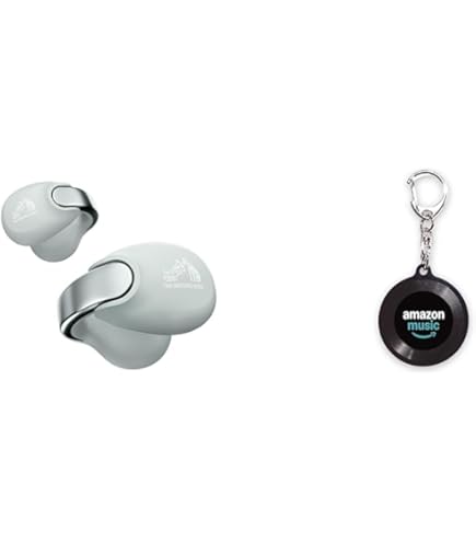 Amazon.co.jp: JVCKENWOOD Victor HA-NP1T-H Wireless Earphones