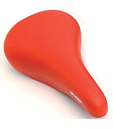 Amazon.co.jp: 都市の自転車道のための革のカラフルな情熱の活力