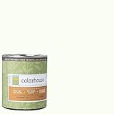 Inspired Flat Interior Paint, Imagine .02, Quart [並行輸入品]