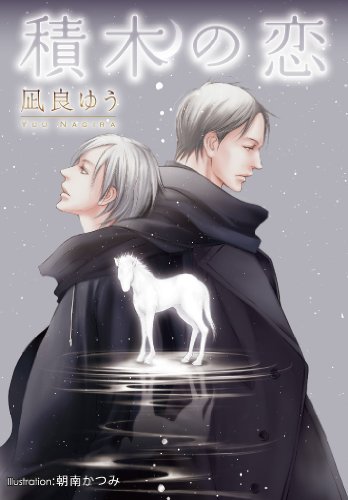 積木の恋 (プラチナ文庫)
