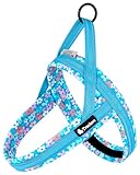 cocomall 2025最新喉に優しい犬ハーネス TRUE LOVE日本授権店 犬用ハーネス 犬用胴輪 ドッグ ペット用品 3M反射材料 訓練 ネオプレン素材 小型犬、中型犬、大型犬に向け 通気性 調節可能 夏に対応 (マリブブルー, XXXS)
