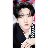ストレイキッズ チャンビン パノラマポスター (Stray Kids Changbin Poster) 700*330mm (changbin-02)