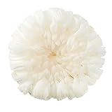 大地農園 プリザーブドフラワー 輪菊中 (6輪入り) ホワイト DO004806-010