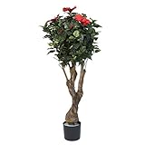 Pure Garden 48 Inch Hibiscus Tree with Flowers by Pure Garden