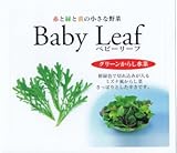 【種子】ベビーリーフ・グリーンからし水菜 1dl