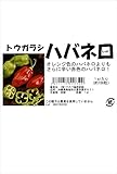 フタバ種苗 トウガラシ ハバネロ(赤) 種・小袋詰(1ml)