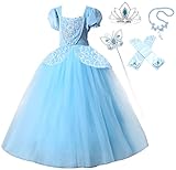 Romyコレクションプリンセスシンデレラフローラルブルーパーティーデラックスパーティードレス 2-3 ブルー Cin2