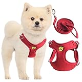 KUVEELA PET ペット用ハーネス＆リードセット 犬 ハーネス 犬のリード ドッグウエア 胴輪 調節可能 お散歩 お外出 着脱簡単 小型犬 中型犬 大型犬（レッド S）