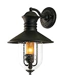 Troy 28956003 One Light Natural Bronze Wall Lantern [並行輸入品]