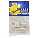 オーム電機 丸型端子 R60-10 2個入 DZ-R60-10/A2 09-2442 OHM