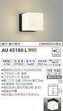 コイズミ照明 勝手口灯 直付・壁付取付 白熱球60W相当 AU45180L