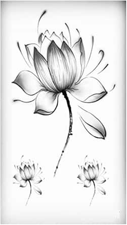 Amazon タトゥーシール 花 華 蓮 本物 モノクロ 白黒 入れ墨 刺青 蓮の花 シール 防水 リアル オマケ付 並行輸入品 タトゥーシール 通販