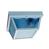 High Quality 4902WH Builder's Choice Collection 2-Light Ceiling Mount Outdoor Light Fixture, Gloss W