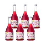 合同酒精 鍛高譚の梅酒 [ 720ml×6本 ]