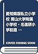 愛知県版私立小学校 南山大学附属小学校・名進研小学校過去問題集 2019年度版 (小学校別問題集)
