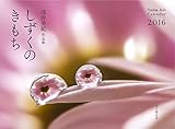 カレンダー2016 浅井美紀作品集 しずくのきもち (ヤマケイカレンダー2016)