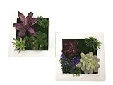 フェイクグリーン 光触媒加工 観葉植物 インテリア 2種セット 造花 壁掛け 置物 グリーン 癒し 額縁 模様替え 簡単 人工観葉植物 カラフルセット