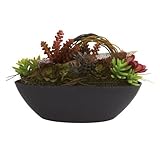 Nearly Natural 4980 Mixed Brown Succulent Plant with Oval Black Container by Nearly Natural