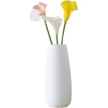Amazon.co.jp: 花瓶 フラワーベース つや消し面 マットライトの