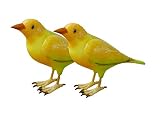 なかよしペアチャイム「ぴーちゃんず」
