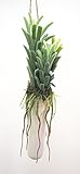 萩原 人工観葉植物 「ミタリア」 約35cm 光触媒加工 ハンギングプランター 159019810