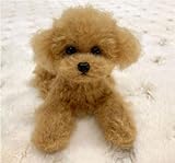 ハンドメイド 犬