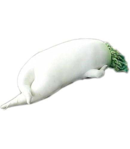 Amazon.co.jp: キョーリン ぬいぐるみ クッション らんちゅう : おもちゃ