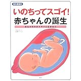 おなかのなかの赤ちゃん もっと知りたい 赤ちゃんのこと 1 松村 富代 野原 士郎 江頭 路子 本 通販 Amazon