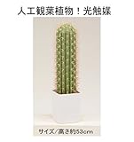 人工観葉植物 光触媒加工観葉植物 造花　サボテン （高さ約53ｃｍ） ＨＧｈｇラディー53ｃｍ