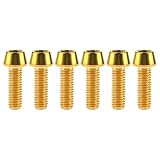 Ruifu チタン合金M6x10 16 20 25 30 35 40 45 50 55 60 65mmコニカルヘッドボルトネジ六角穴付6個 (M6x20mm, ゴールド)