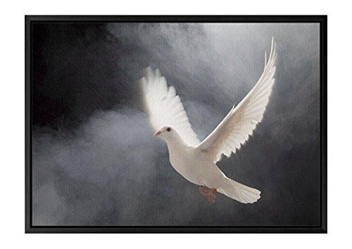 ハト#0001 動物の写真 黒の木製フレーム装飾画 アートキャンバス印刷ポスター(40cmx60cmx3.5cm) ハト#0001 動物の写真 黒の木製フレーム装飾画 アートキャンバス印刷ポスター(40cmx60cmx3.5cm)