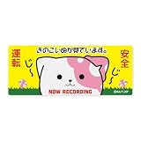 きのこいぬ 高発光ステッカー きのこいぬが見ています。