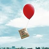 �����B�̈��̉�