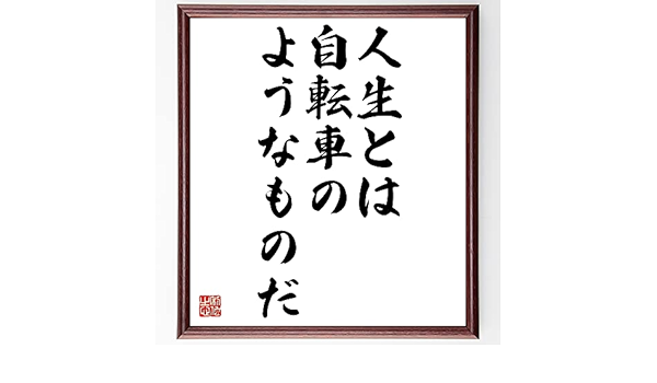 Amazon Co Jp アインシュタインの言葉 名言 人生とは自転車のようなものだ 額付き書道色紙 受注後直筆 千言堂 Z2798 ジュエリー