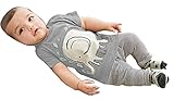 Fairy Wings SHORTS ベビー・ボーイズ US サイズ: 3T/4T カラー: グレー
