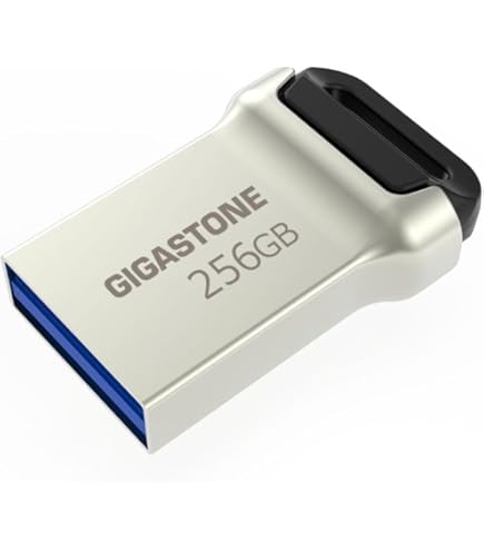 Amazon.co.jp: GIGASTONE 128GB Nano Luxus デュアル Flash USB メモリ