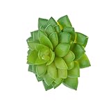 SONONIA プラスチック製　人工　多肉植物　ジューシー　タッチ　クワズイモ　花　観葉植物　装飾