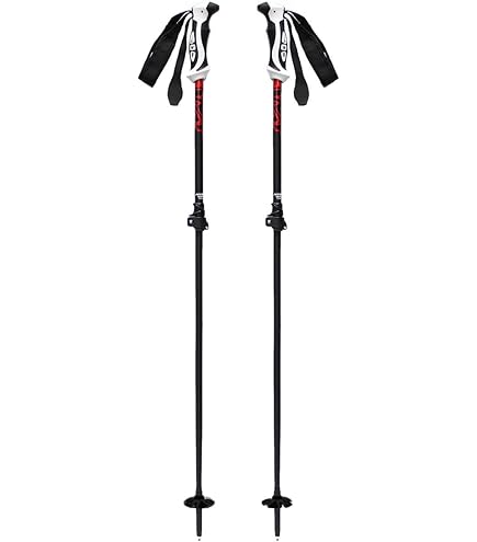 Amazon | シナノ ストック SINANO FREE X AL SKY フリーエックス