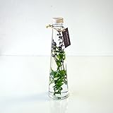 花由 ハーバリウム Herbarium　-healing flower ラベンダー コーン(円錐)タイプ