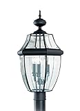 Sea Gull Lighting 8239-12 Outdoor Post Mount with Clear Beveled Glass Shades, Black Finish [並行輸入品]